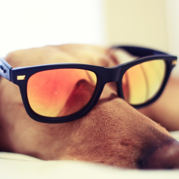 Як правильно обрати сонцезахисні окуляри?